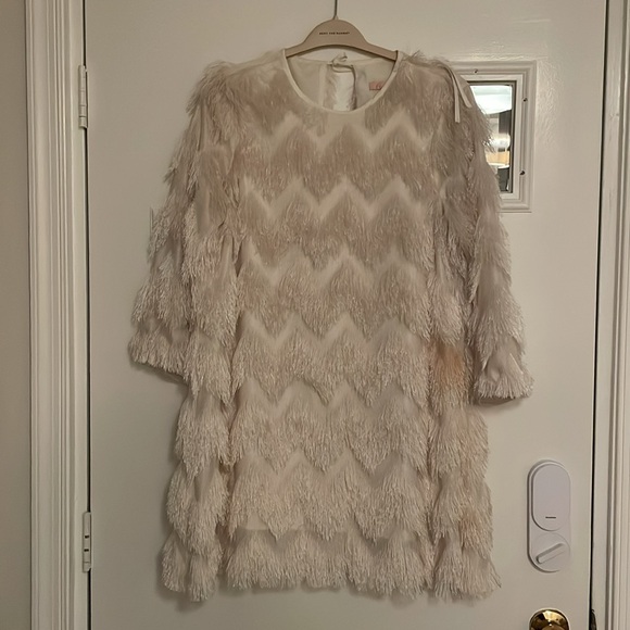 Anthropologie Hutch Fringed Shift Mini Dress - Like New - Picture 4 of 6